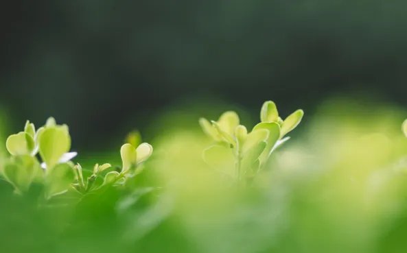 立春当日可以贴对联吗 立春能不能贴对联