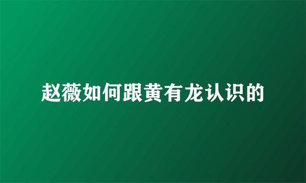 赵薇如何跟黄有龙认识的