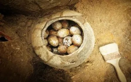溧阳发现春秋古墓，出土2500年鸡蛋，究竟有什么价值？