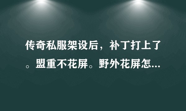 传奇私服架设后，补丁打上了。盟重不花屏。野外花屏怎么回事。。