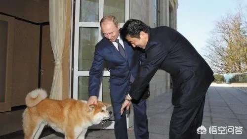 1月20日，安倍前往莫斯科，继续向普京要岛，是不是又是自寻烦恼之旅？