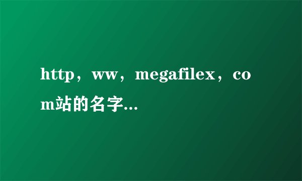 http，ww，megafilex，com站的名字我修改了.现在我打不开了.以前可以的.别的电脑可以我的就不可以？为什么