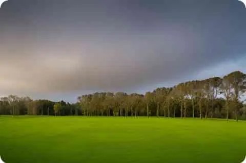 生活体验馆是什么