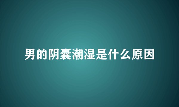 男的阴囊潮湿是什么原因