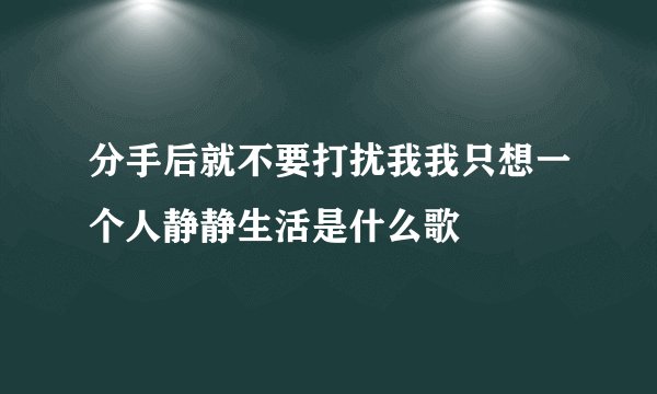 分手后就不要打扰我我只想一个人静静生活是什么歌
