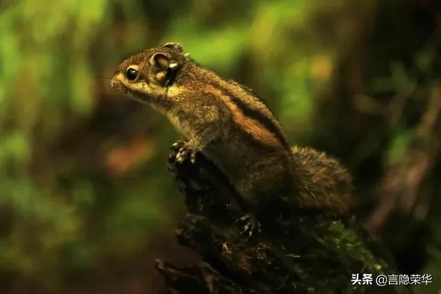 去稻城亚丁是一种什么体验？