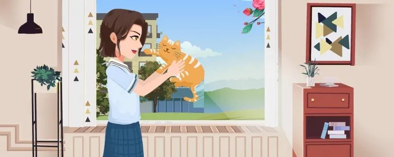 为什么猫咪能像液体 猫咪的年龄是怎么算的