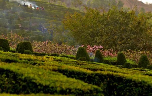 古时亚岁是指哪个节气 古时亚岁是什么意思