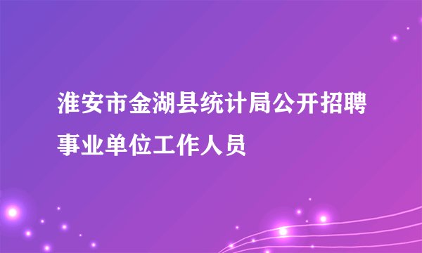 淮安市金湖县统计局公开招聘事业单位工作人员