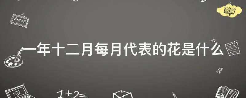 一年十二月每月代表的花是什么