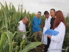 国家保护农作物种类有哪些