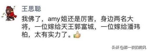如何看待王思聪说潘玮柏的老婆是Amy的一名大将?