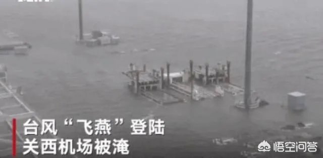 如何看待新的台风“潭美”？