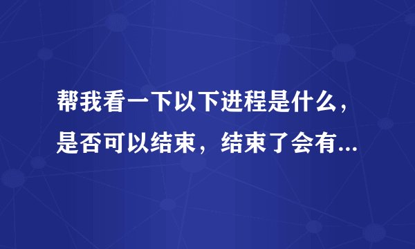 帮我看一下以下进程是什么，是否可以结束，结束了会有什么后果！