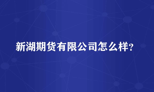 新湖期货有限公司怎么样？