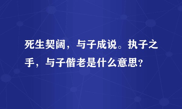 死生契阔，与子成说。执子之手，与子偕老是什么意思？