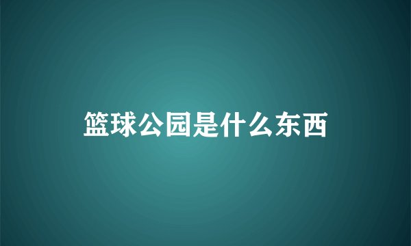 篮球公园是什么东西