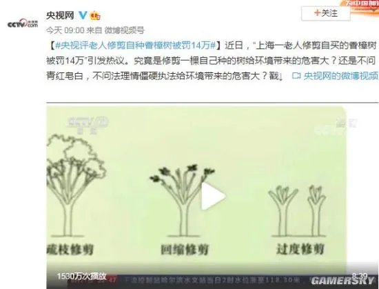 央视评老人修剪自种香樟树被罚14万：不问法理情僵硬执法