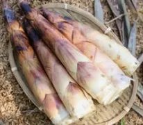 冬笋和春笋的区别