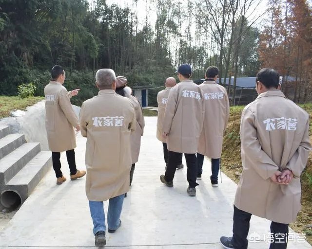 散养鸡舍怎样设计可以提高生产效率？