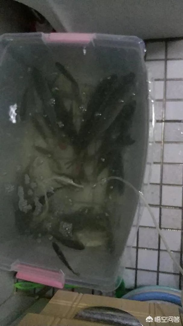 哪里有比较幽静的钓鱼的地方？