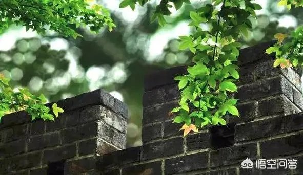 福鼎老街好玩吗?