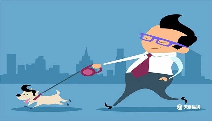 狗狗的汗腺在身上哪个部位