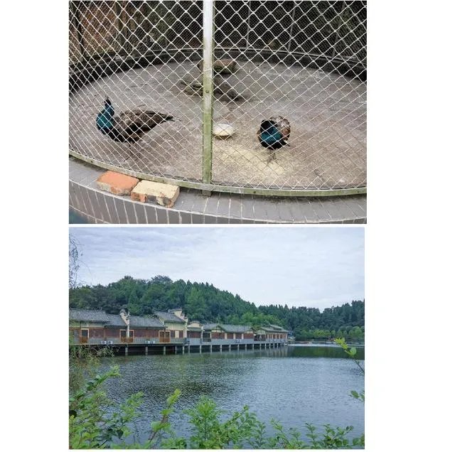 绵阳农家乐推荐