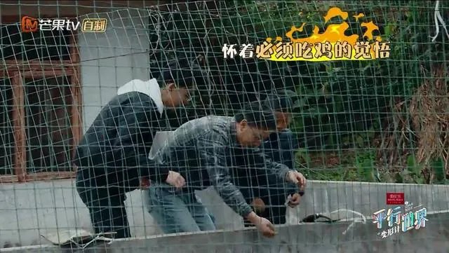 如何看待《变形计之平行世界》？