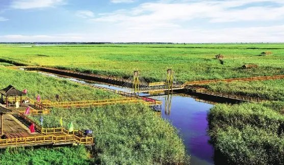 求盘锦旅游景点大全排名，哪些比较推荐？