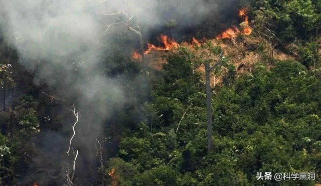 两颗小行星即将与地球擦肩而过，人类该担心吗？