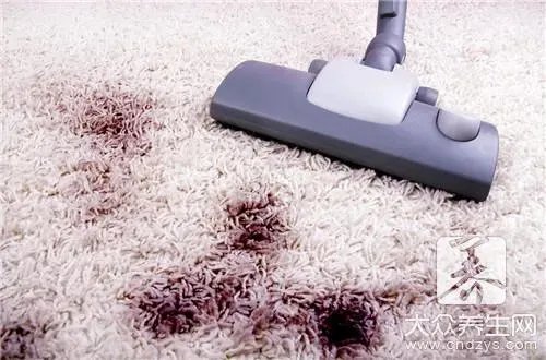 为什么家里有很多小虫