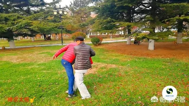 如何评价太极推手？