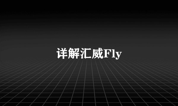 详解汇威Fly