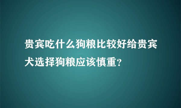 贵宾吃什么狗粮比较好给贵宾犬选择狗粮应该慎重？