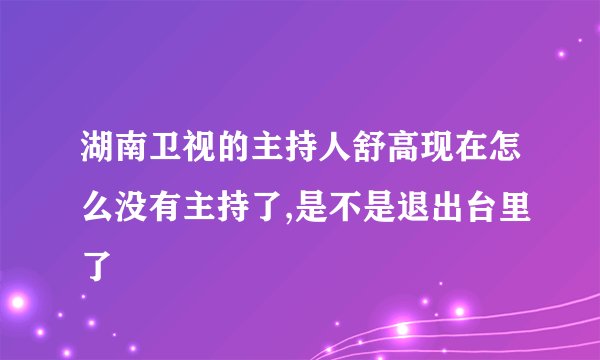 湖南卫视的主持人舒高现在怎么没有主持了,是不是退出台里了