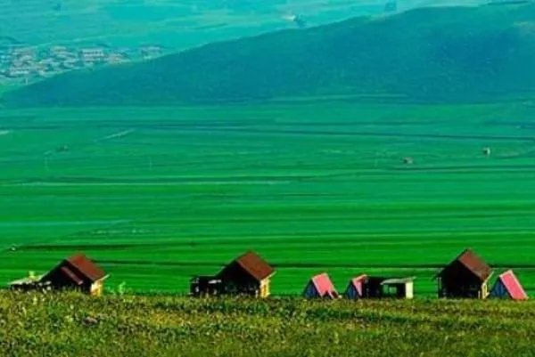 河北张北草原旅游景点