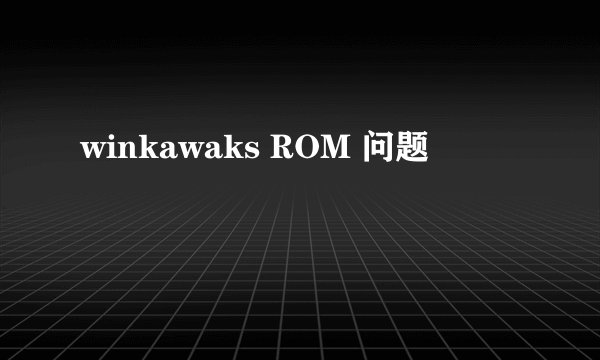 winkawaks ROM 问题