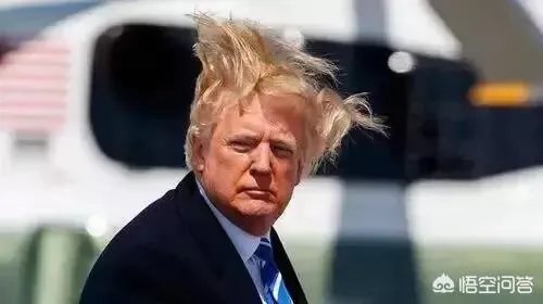 如何看待特朗普人到了巴黎却拒绝出席巴黎国际和平论坛？