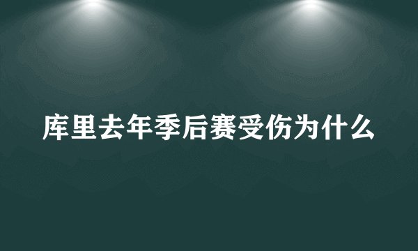 库里去年季后赛受伤为什么