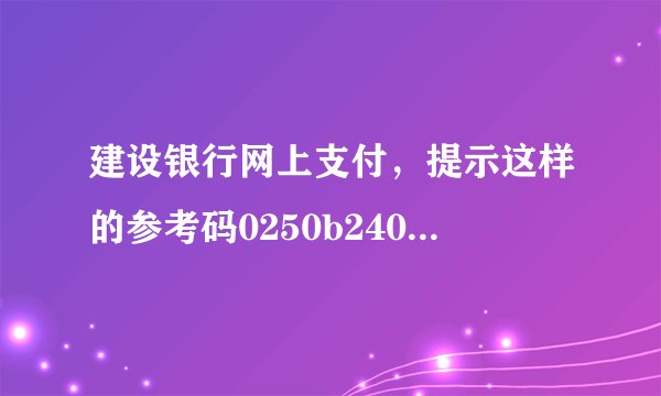 建设银行网上支付，提示这样的参考码0250b2407061，是什么意思？