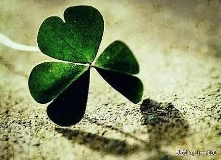 有什么惊艳的句子？