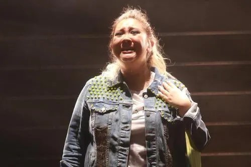 娱乐圈中比较胖的女星都有哪些？