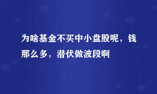 为啥基金不买中小盘股呢，钱那么多，潜伏做波段啊