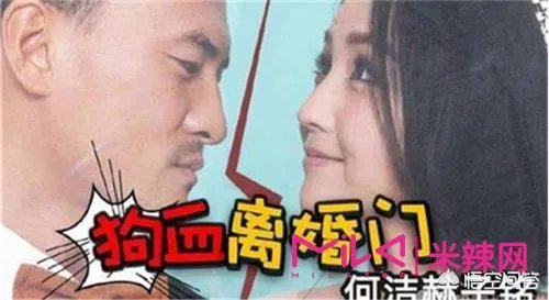怎么评价何洁离婚事件？