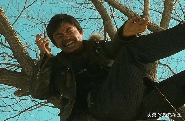 为什么王宝强的《Hello!树先生》如此极端，有的人奉为经典，有的人弃之如敝履？