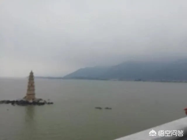 漳州市漳浦县沙西镇为什么被称为中国榕树盆景之乡？