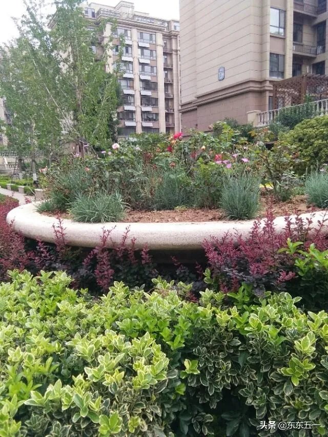 马家军兴奋剂事件内幕的曝光会对中国体育造成哪些影响?