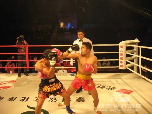 宝力高搏击争霸赛的赛事详情