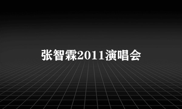 张智霖2011演唱会